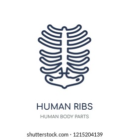 Human Ribs icon. Human Ribs linear symbol design from Human Body Parts collection.