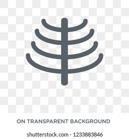 Human Ribs icon. Trendy flat vector Human Ribs icon on transparent background from Human Body Parts collection. 