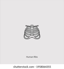 Human Ribs Icon Vector Isolated On White Background