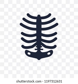 Human Ribs Transparent Icon. Human Ribs Symbol Design From Human Body Parts Collection.