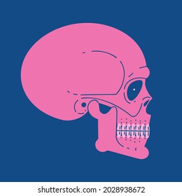Human scull illustration. Vector skeleton illustration. Isolated halloween illustration. Jolly Roger logo.