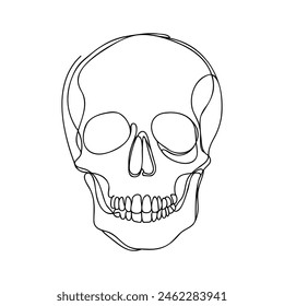 Human scull. One line continuous Halloween skull isolated on white background. Line art outline vector illustration.