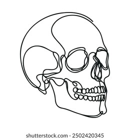 Human scull. One line continuous Halloween skull isolated on white background. Line art outline vector illustration
