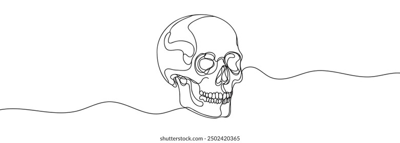 El cráneo humano. Una línea de cráneo continuo de Halloween aislado sobre fondo blanco. Ilustración vectorial de contorno de arte de línea