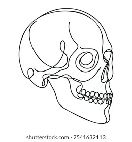 El cráneo humano. Una línea de cráneo continuo de Halloween aislado sobre fondo blanco. Ilustración vectorial de contorno de arte de línea.