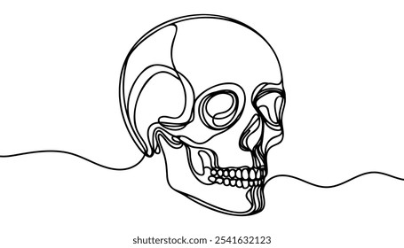 El cráneo humano. Una línea de cráneo continuo de Halloween aislado sobre fondo blanco. Ilustración vectorial de contorno de arte de línea.