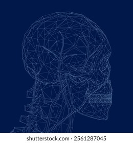 Human scull wireframe. Skull isolated on blue background. Line art outline vector illustration