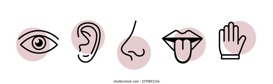 Human sense five types line icon. Vision through eye, smell with nose, taste with tongue. Symbols Drawn with outlines  inside color circles. Isolated flat vector illustration on white background