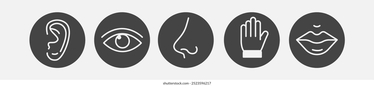 O senso humano tem cinco tipos. Nariz, lábios, mãos, orelha, ícone de linha de olho no círculo preto. Símbolos informativos. Ilustração vetorial