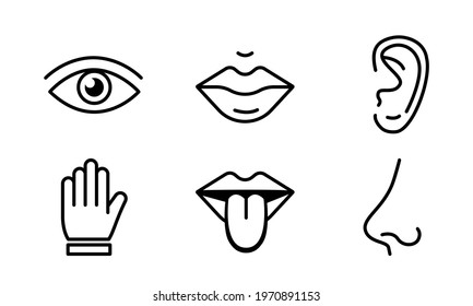 Human sense five types. Vision through eye, smell with nose, taste with tongue. Symbols Drawn icon. Isolated flat vector illustration on white background