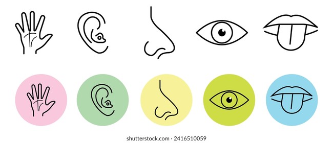 Icono de sentido humano conjunto de trazo editable aislado en fondo transparente blanco. Vector.