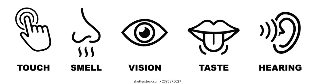 Human sense icons. Five human senses icons. Vision smell hearing touch taste senses fillings. Five fillings icons. Vector Illustration. Vector Graphic. EPS 10
