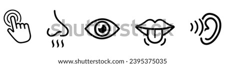 Human sense icons. Five human senses icons. Vision smell hearing touch taste senses fillings. Five fillings icons. Vector Illustration. Vector Graphic. EPS 10