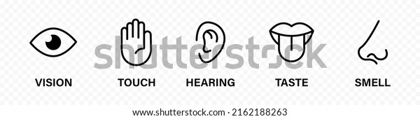 Vektor Stok Human Sense Icons Five Human Senses (Tanpa Royalti ...