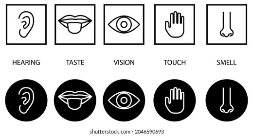 Human sense organs icons. Black circle. Set for medical design. Hand drawing art. Vector illustration. Stock image.