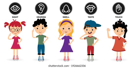 Human Sense Organs. Learn about five Senses 