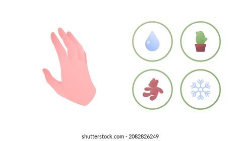 Human sense and perception concept. Vector flat icon illustration. Palm, soft toy, liquid, snow and cactus touch symbol isolated on white background.