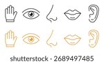 Human senses 5 five types, Vision through eye, smell with nose, taste with tongue icon vector. body parts symbol. vector illustration.