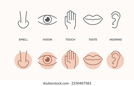 Human senses 5 five types. Vision through eye, smell with nose, taste with tongue line icon set. ENT Otolaryngologist ophthalmologist. Vector illustration on white background