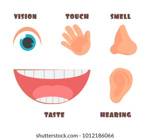 Human senses cartoon vector icons with eye, nose, ear, hand, and mouth symbols. Human taste and sensory illustration