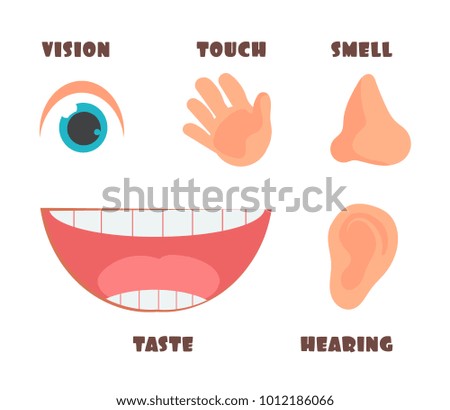 Human senses cartoon vector icons with eye, nose, ear, hand, and mouth symbols. Human taste and sensory illustration
