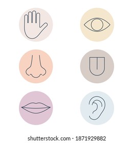 Human senses colorful line icon set. People part of body in circle shapes. Hand, eye, nose, tongue, lips and ear. Vector medical illustration isolated.