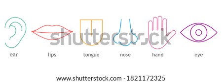 Human senses colorful line icon set. Vector illustration people part of body. Hand, eye, nose, tongue, lips and ear with inscription.