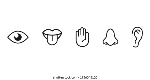 Human senses icon. Eye hand ear mouth nose icons set. Vector illustration, flat design