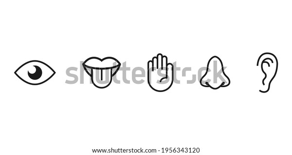 Human Senses Icon Eye Hand Ear Stock Vector (Royalty Free) 1956343120 ...