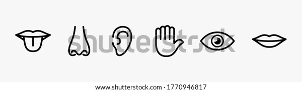 Human Senses Icon Set Vector Line Stock Vector Royalty Free Shutterstock