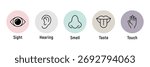 Human senses icon set. Vision eye, smell nose, hearing ear, touch hand, taste mouth with tongue. Simple line icons in circle. Five senses of human nervous system. set of five senses icon