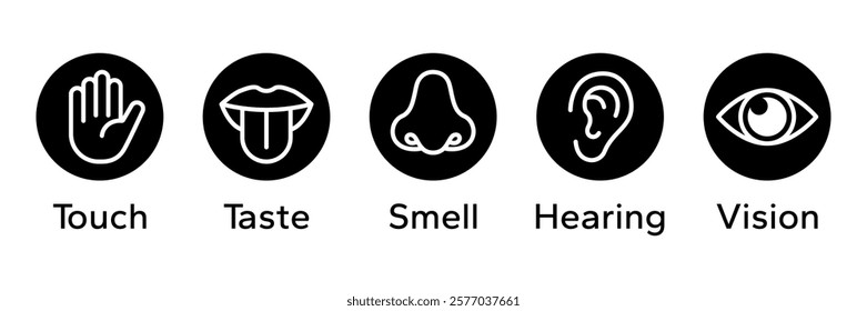 Human senses icon set. Vision eye, smell nose, hearing ear, touch hand, taste mouth with tongue. Simple line icons and black circle. Five senses of human nervous system. Vector illustration.