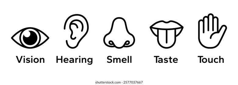 Human senses icon set. Vision eye, smell nose, hearing ear, touch hand, taste mouth with tongue. Simple line icons and black circle. Five senses of human nervous system. Vector illustration.