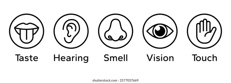 Human senses icon set. Vision eye, smell nose, hearing ear, touch hand, taste mouth with tongue. Simple line icons and black circle. Five senses of human nervous system. Vector illustration.