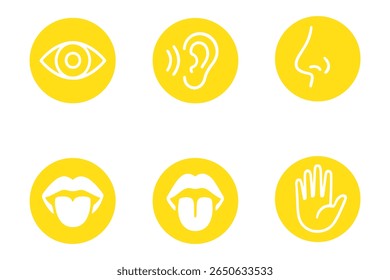Conjunto de ícones dos sentidos humanos. Visão, olfato, nariz, ouvido auditivo, mão sensível ao toque, boca com língua. Ícones de linha simples em círculo. Cinco sentidos do sistema nervoso humano. conjunto de cinco sentidos ícone