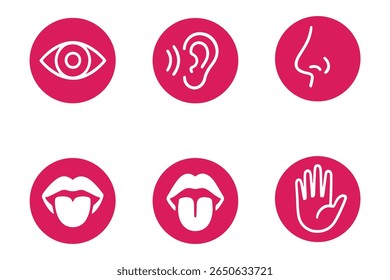 Conjunto de ícones dos sentidos humanos. Visão, olfato, nariz, ouvido auditivo, mão sensível ao toque, boca com língua. Ícones de linha simples em círculo. Cinco sentidos do sistema nervoso humano. conjunto de cinco sentidos ícone