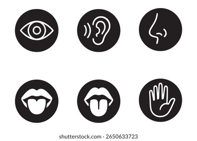 Conjunto de ícones dos sentidos humanos. Visão, olfato, nariz, ouvido auditivo, mão sensível ao toque, boca com língua. Ícones de linha simples em círculo. Cinco sentidos do sistema nervoso humano. conjunto de cinco sentidos ícone