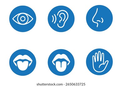 Conjunto de ícones dos sentidos humanos. Visão, olfato, nariz, ouvido auditivo, mão sensível ao toque, boca com língua. Ícones de linha simples em círculo. Cinco sentidos do sistema nervoso humano. conjunto de cinco sentidos ícone