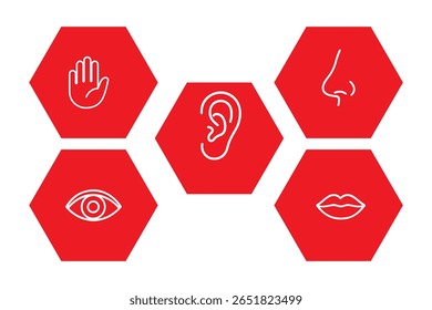 Human senses icon set. Vision eye, smell nose, hearing ear, touch hand, taste mouth with tongue. set of human five senses icon.