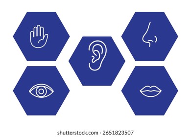 Human senses icon set. Vision eye, smell nose, hearing ear, touch hand, taste mouth with tongue. set of human five senses icon.