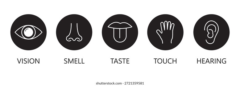 Ikonensatz der menschlichen Sinne. Augen sehen, Nase riechen, Ohr hören, Hand berühren, Mund mit Zunge schmecken. Einfache Liniensymbole und schwarzer Kreis. Fünf Sinne des menschlichen Nervensystems. Vektorgrafik.