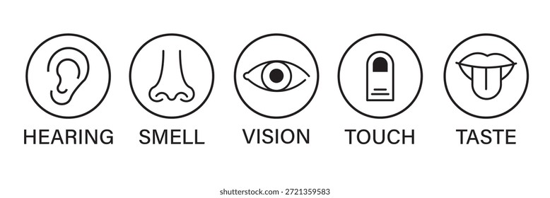 Conjunto de iconos de sentidos humanos. Ojo de la visión, nariz del olor, oído auditivo, mano del tacto, boca del gusto con la lengua. Iconos de línea simples y círculo negro. Cinco sentidos del sistema nervioso humano. Ilustración vectorial.