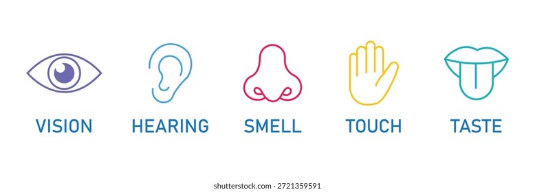 Ikonensatz der menschlichen Sinne. Augen sehen, Nase riechen, Ohr hören, Hand berühren, Mund mit Zunge schmecken. Einfache Liniensymbole und schwarzer Kreis. Fünf Sinne des menschlichen Nervensystems. Vektorgrafik.