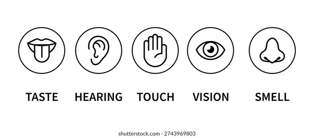 Human senses icon set. Vision eye, smell nose, hearing ear, touch hand, taste mouth with tongue. Simple line icons and black circle. Five senses of human nervous system. Vector illustration.