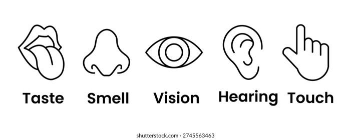 Human senses icon set. Vision eye, smell nose, hearing ear, touch hand, taste mouth with tongue. Simple line icons and black circle. Five senses of human nervous system. Vector illustration