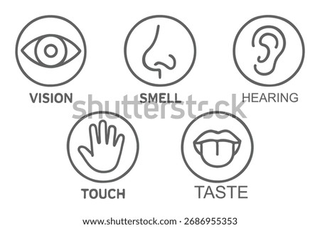 Human senses icon set. Vision eye, smell nose, hearing ear, touch hand, taste mouth with tongue. Simple line icons in circle. Five senses of human nervous system. set of five senses icon