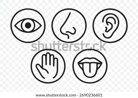 Human senses icon set. Vision eye, smell nose, hearing ear, touch hand, taste mouth with tongue. Simple line icons in circle. Five senses of human nervous system. set of five senses icon.