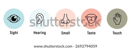 Human senses icon set. Vision eye, smell nose, hearing ear, touch hand, taste mouth with tongue. Simple line icons in circle. Five senses of human nervous system. set of five senses icon