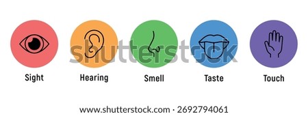 Human senses icon set. Vision eye, smell nose, hearing ear, touch hand, taste mouth with tongue. Simple line icons in circle. Five senses of human nervous system. set of five senses icon