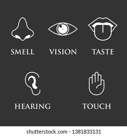 Icon Set Five Human Senses Vision Stock Vector (Royalty Free) 714529117